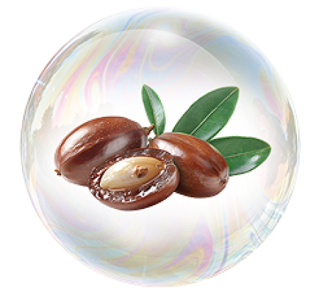 Jojoba oil
