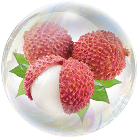 Lychee (Litchi chinensis)