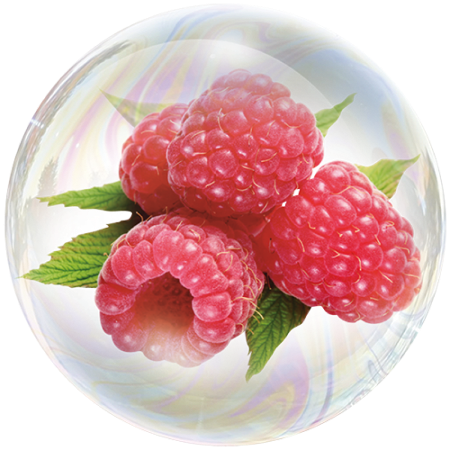 Raspberry (Rubus idaeus)