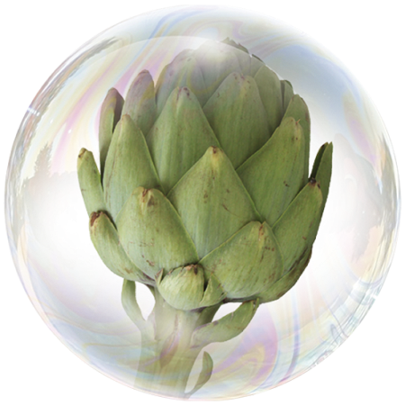 Artichoke