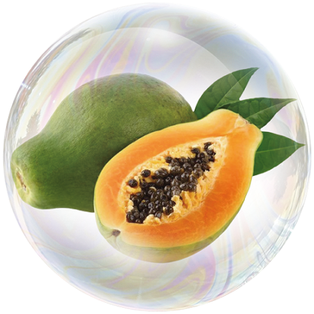 Papaya (Carica papaya)